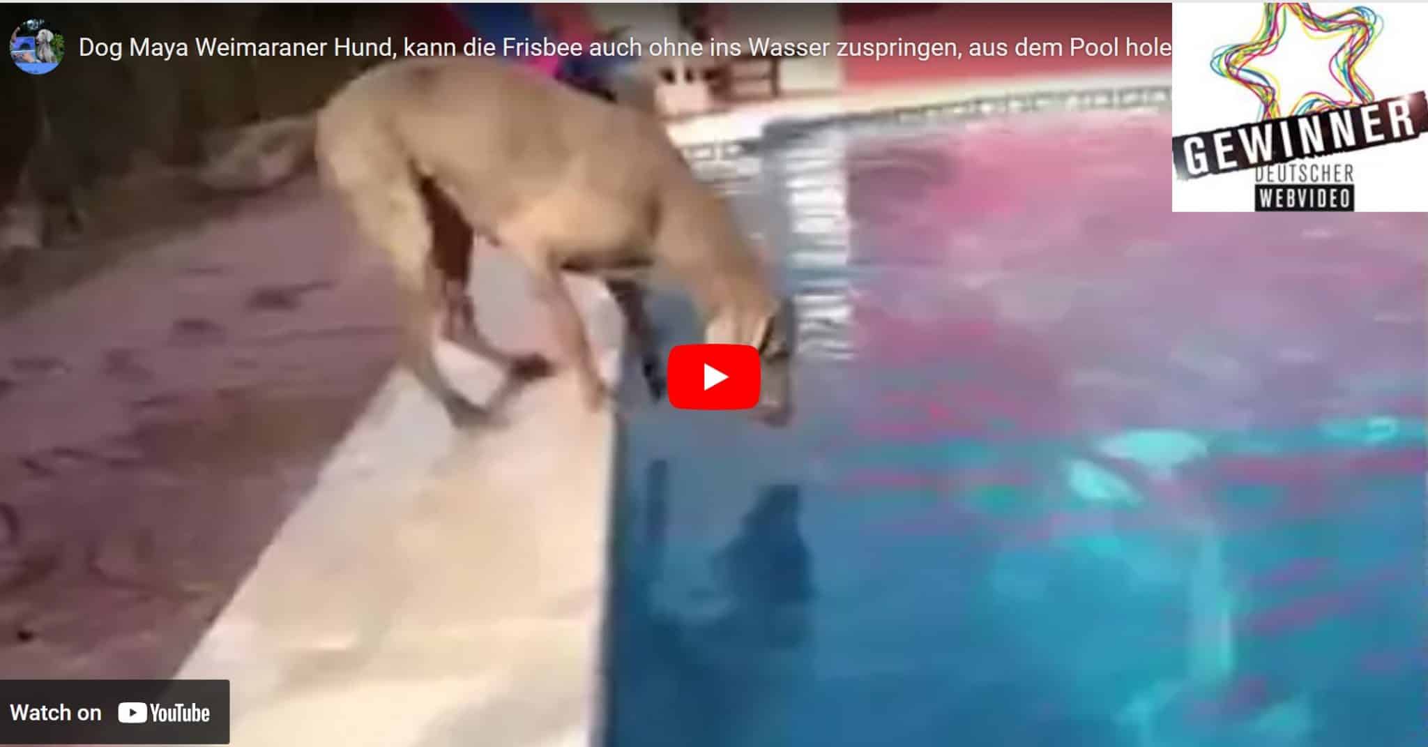 Webvideo-Produktion von ah-tv